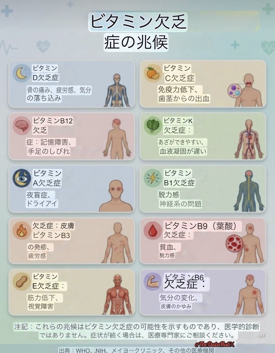 macaron macaron tweet media