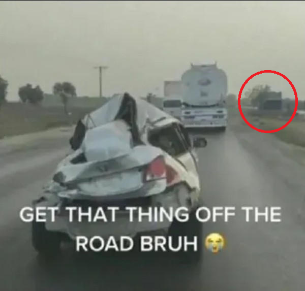 Venera 💤 tweet media