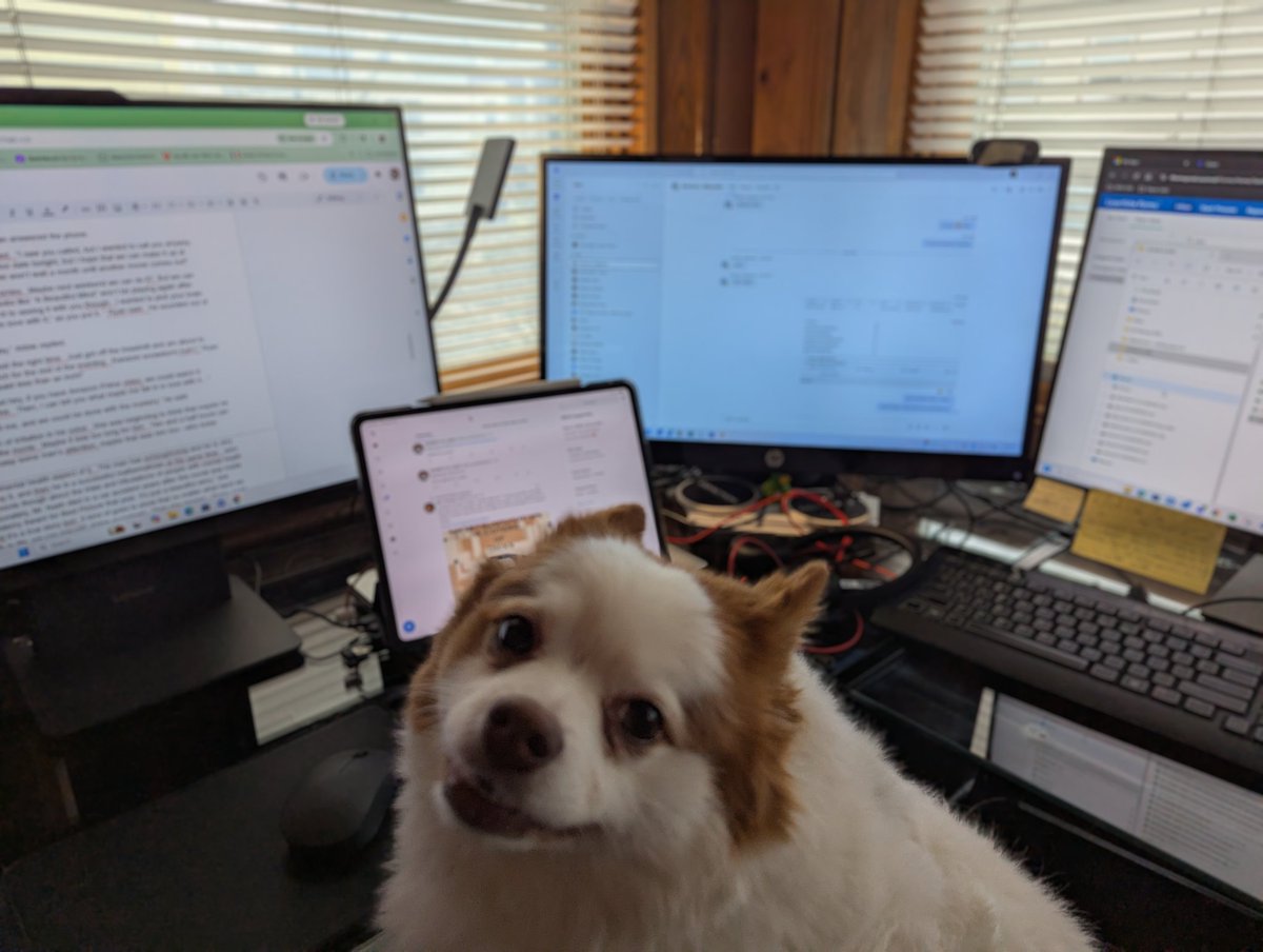 KENNETH M. GRAY tweet media