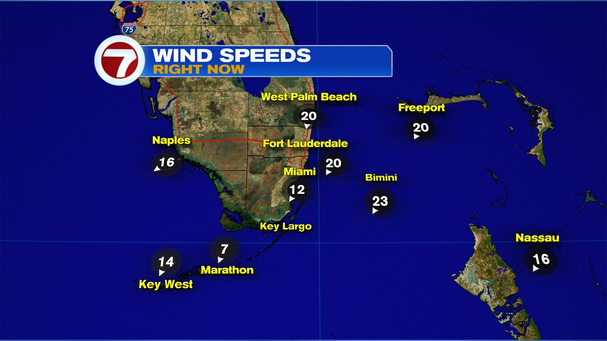 Erika Delgado tweet media