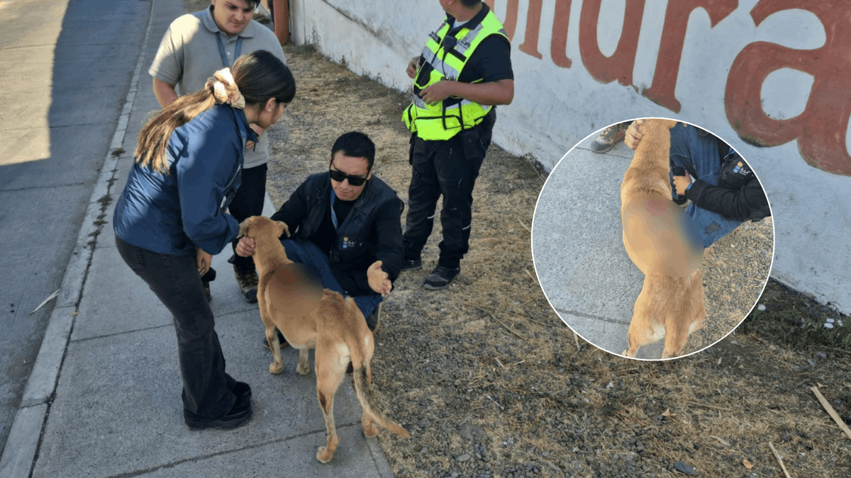 Mi Radio tweet media