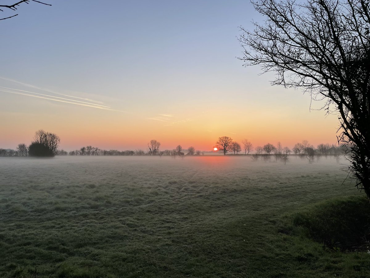 BonesNorah's tweet image. Early walkies was full of Eastern Promise #Suffolk