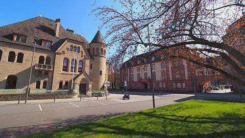 Dr. Bodo Schiffmann tweet media