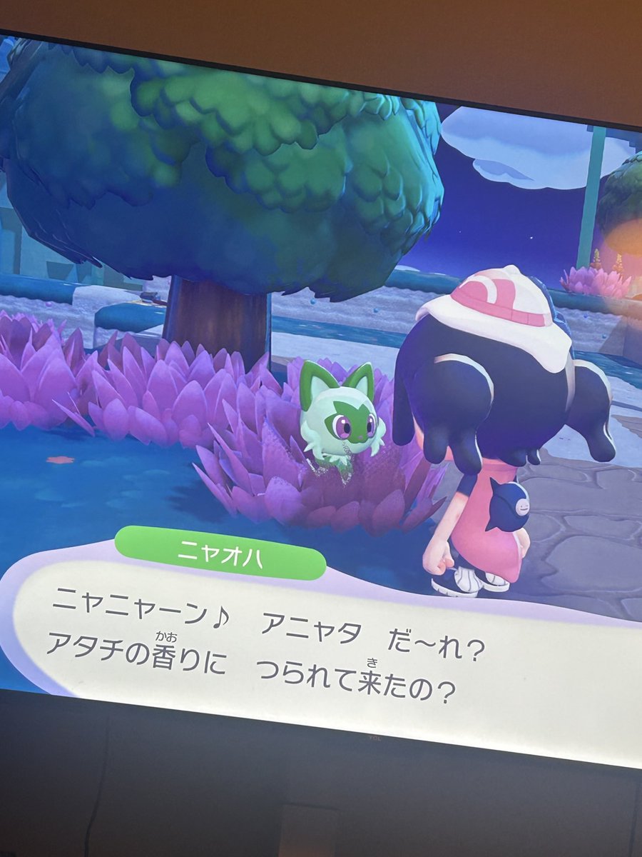 ひな🐣ྀིこっとんど〜る tweet media