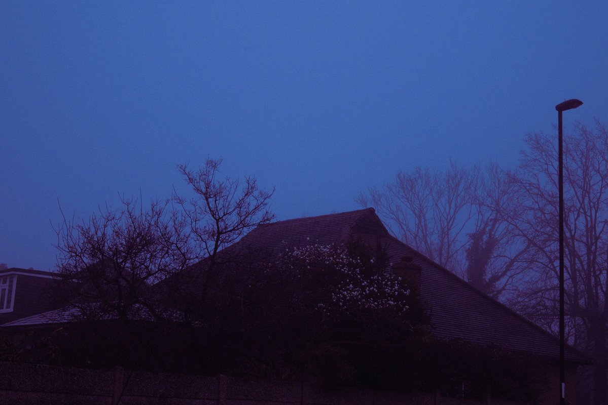 emilybakerphoto.eth tweet media