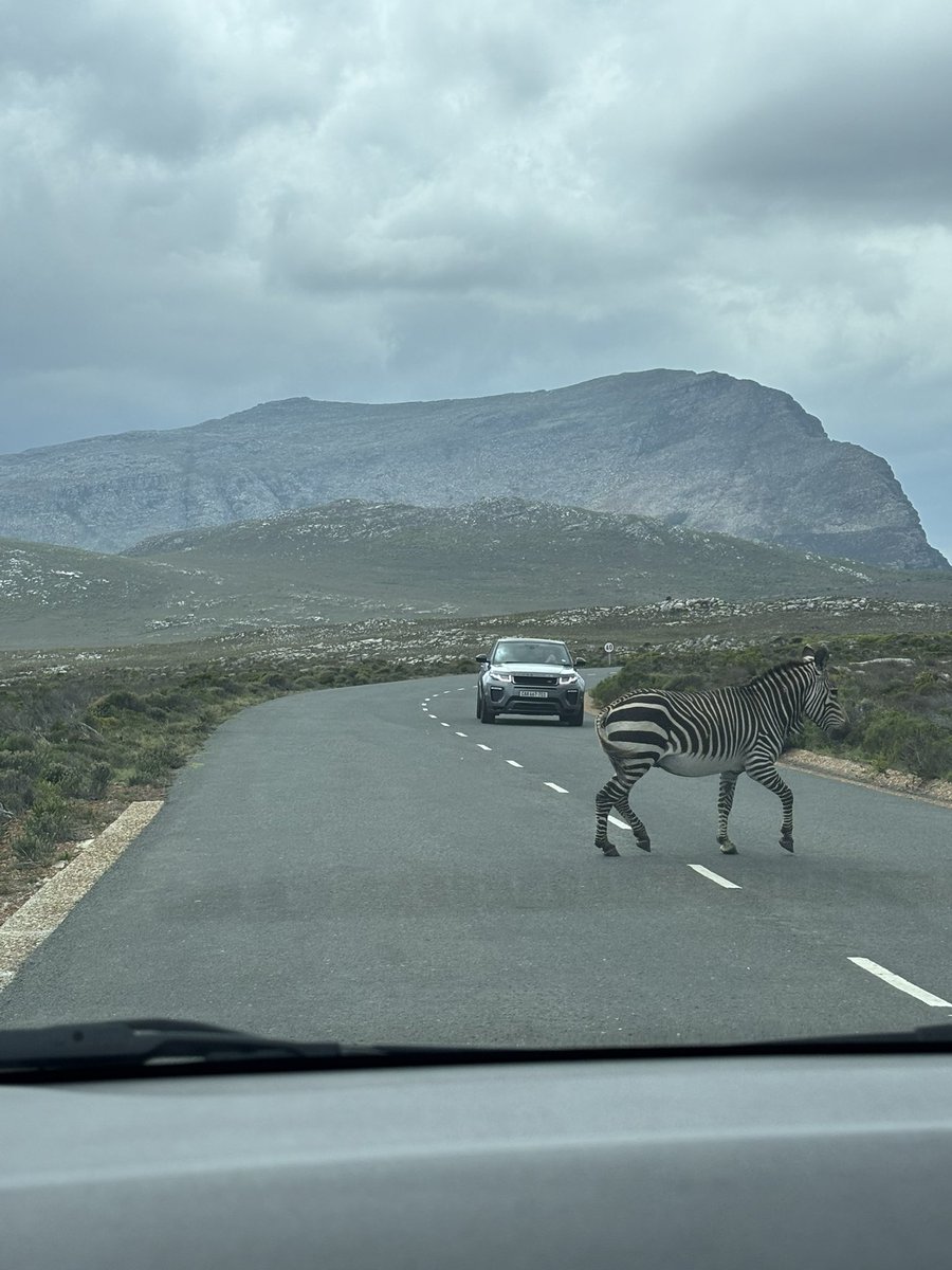 Nick Martin tweet media