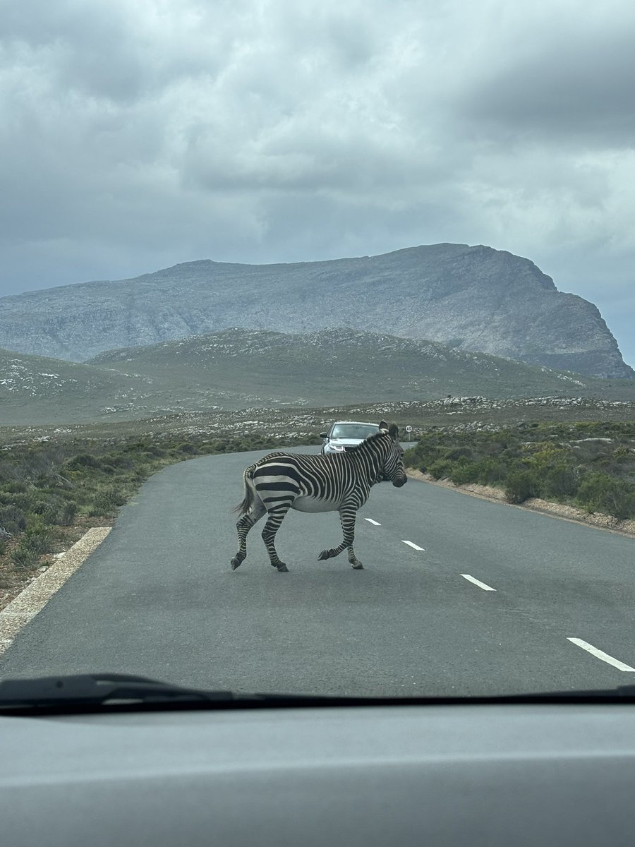 Nick Martin tweet media