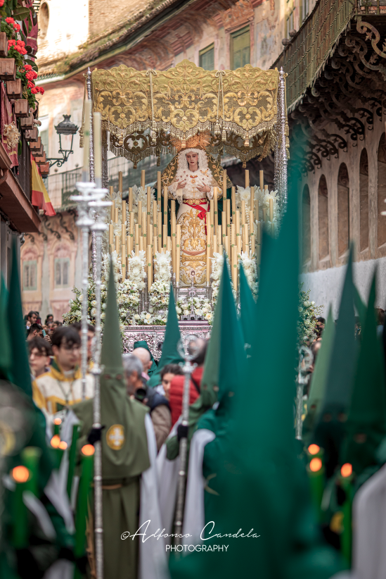 Alfonso Candela tweet media