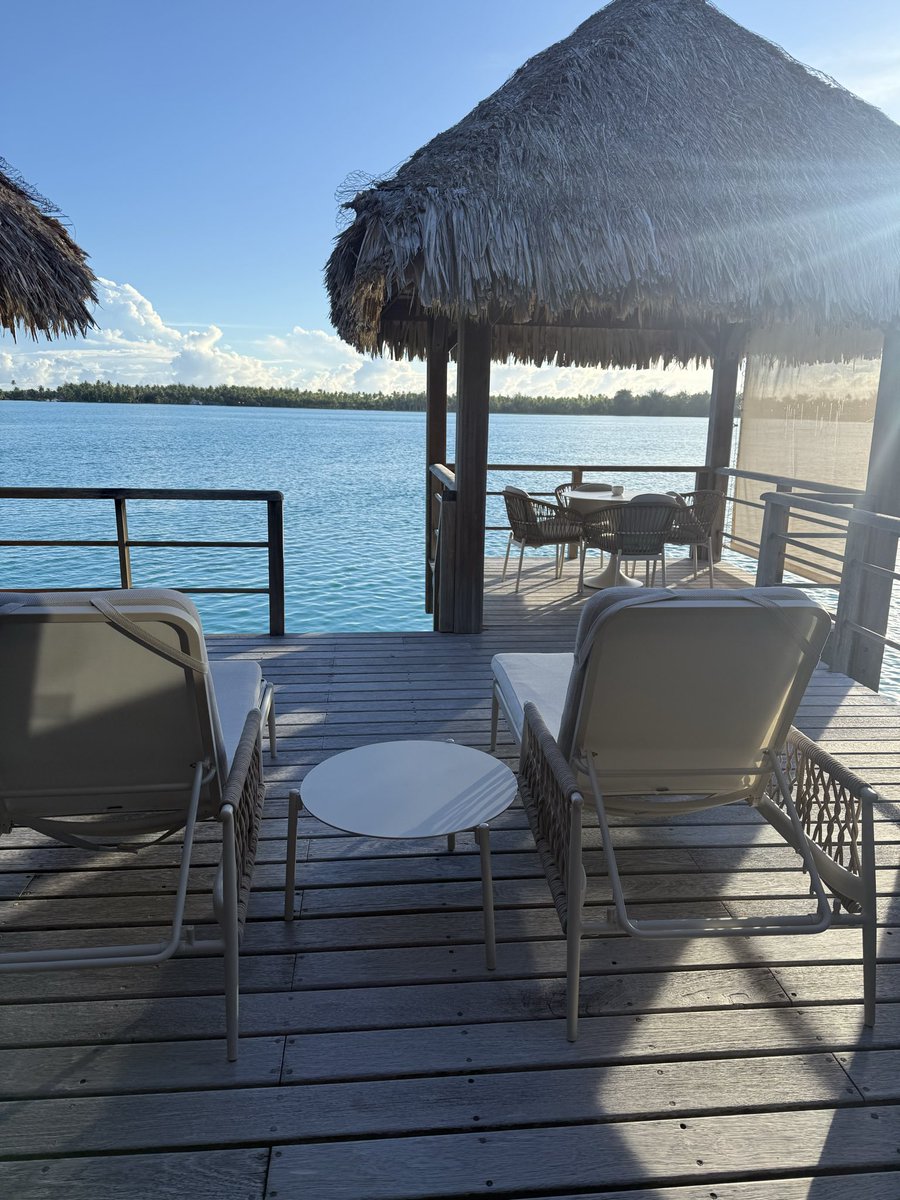 scizr 💎 tweet media