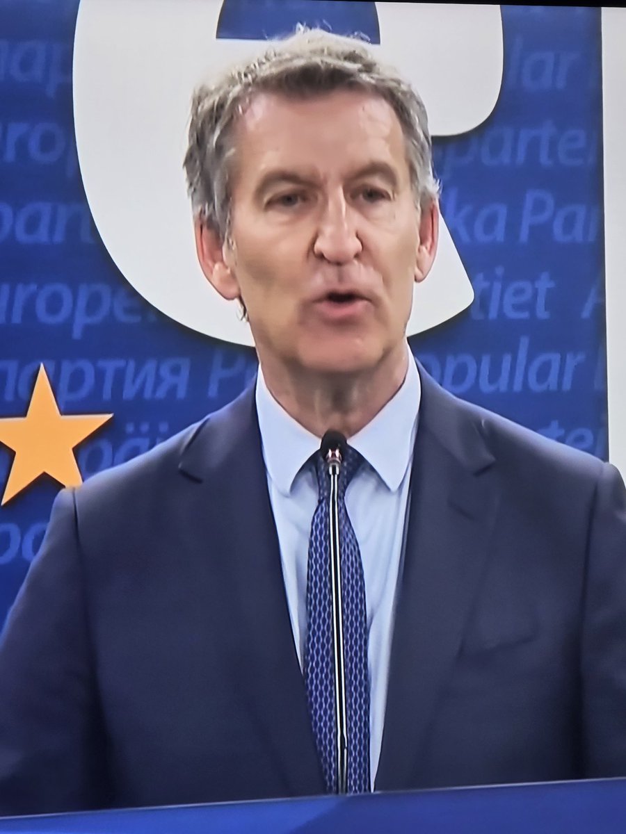 🐈 NikoGato tweet media