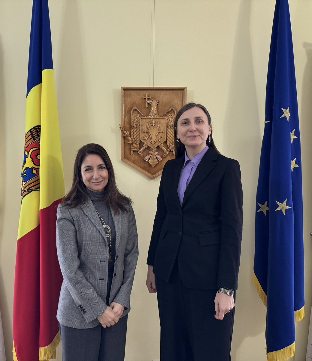 Daniela Morari tweet media