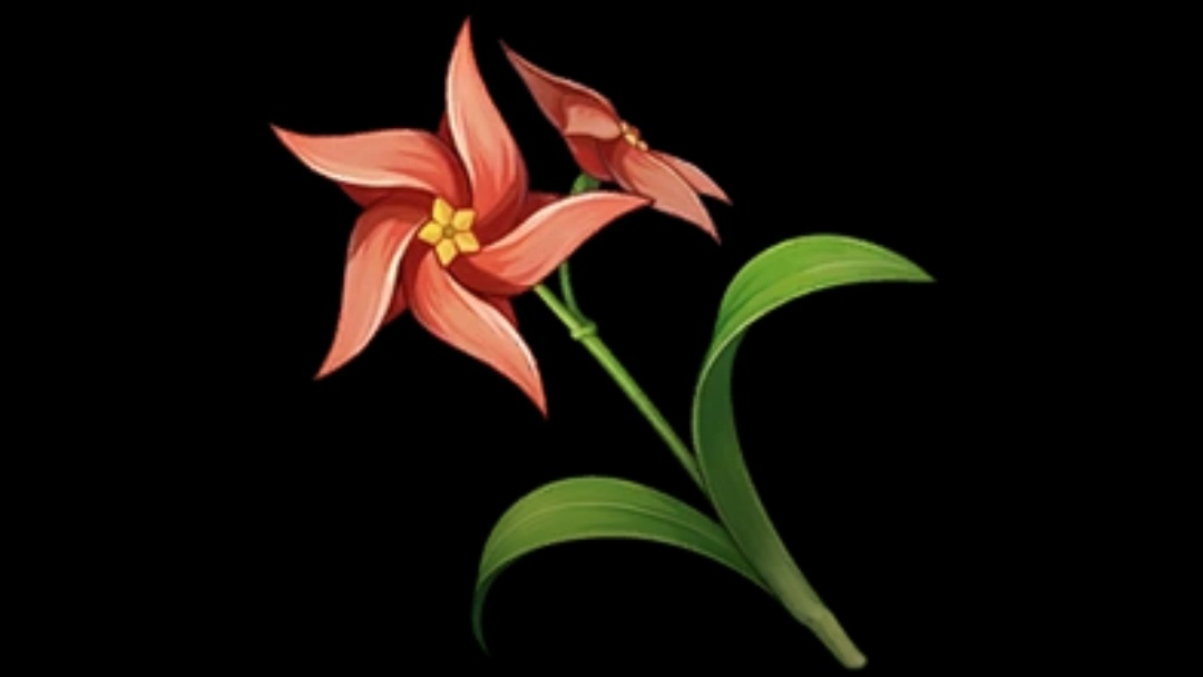 tali ✦ tweet media