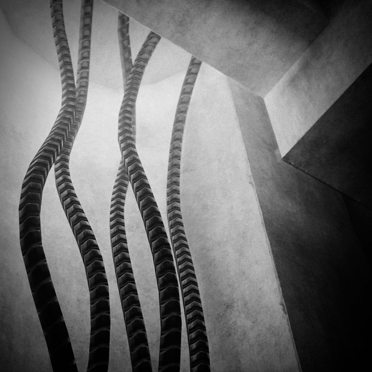 Anne☕️ tweet media