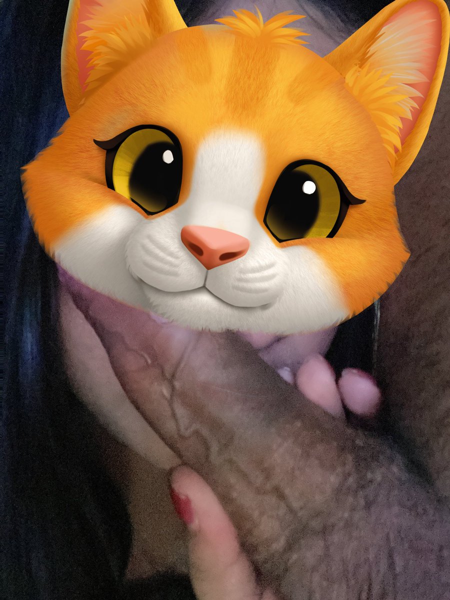 Prem_yu68 tweet media