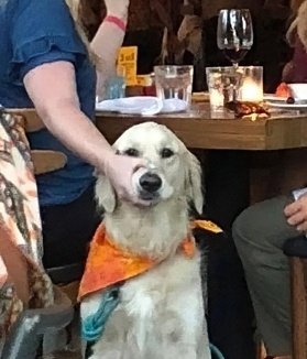 𝕍𝕖𝕣𝕒 tweet media