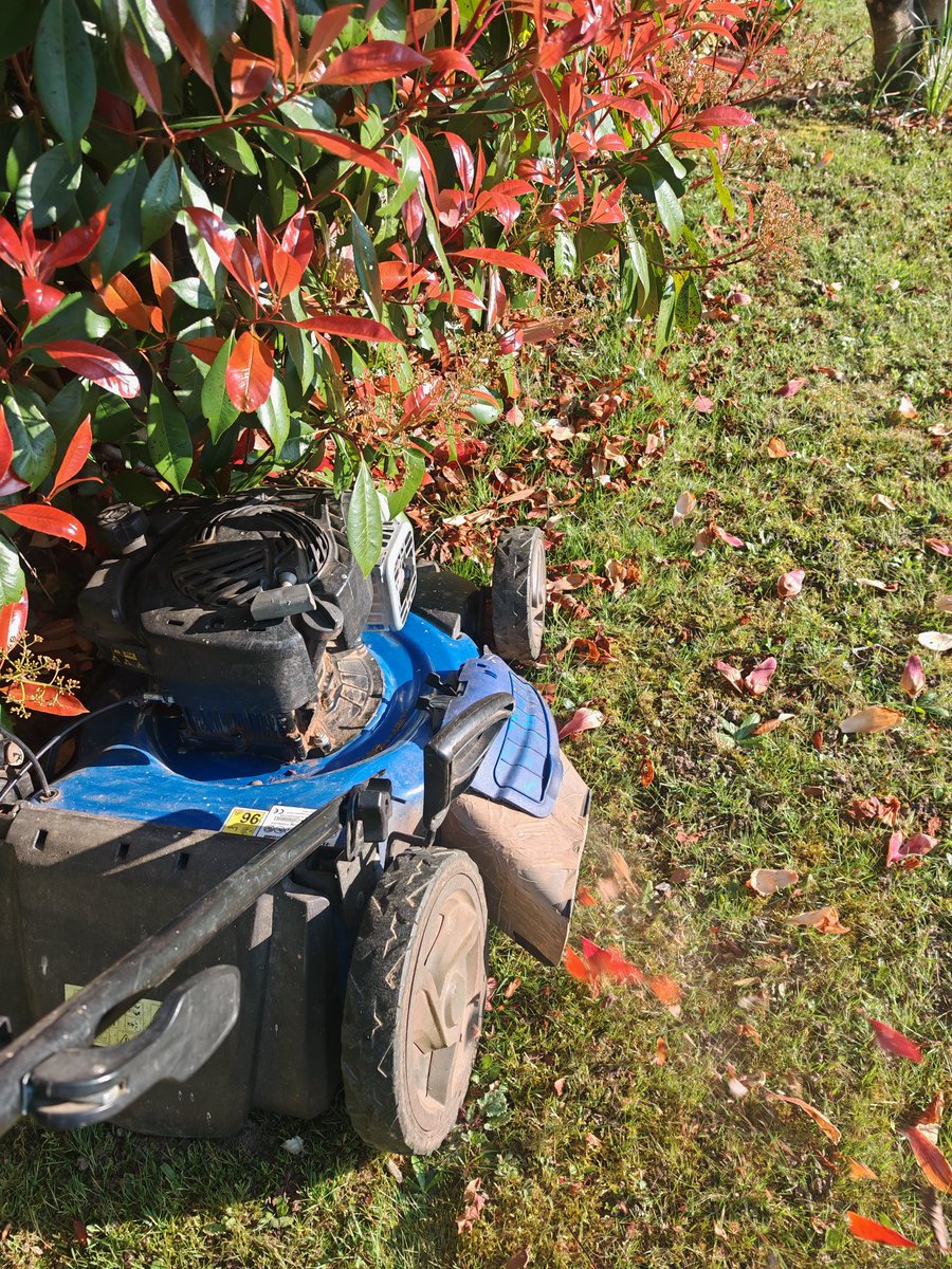 Le Novichok De Hoonited tweet media