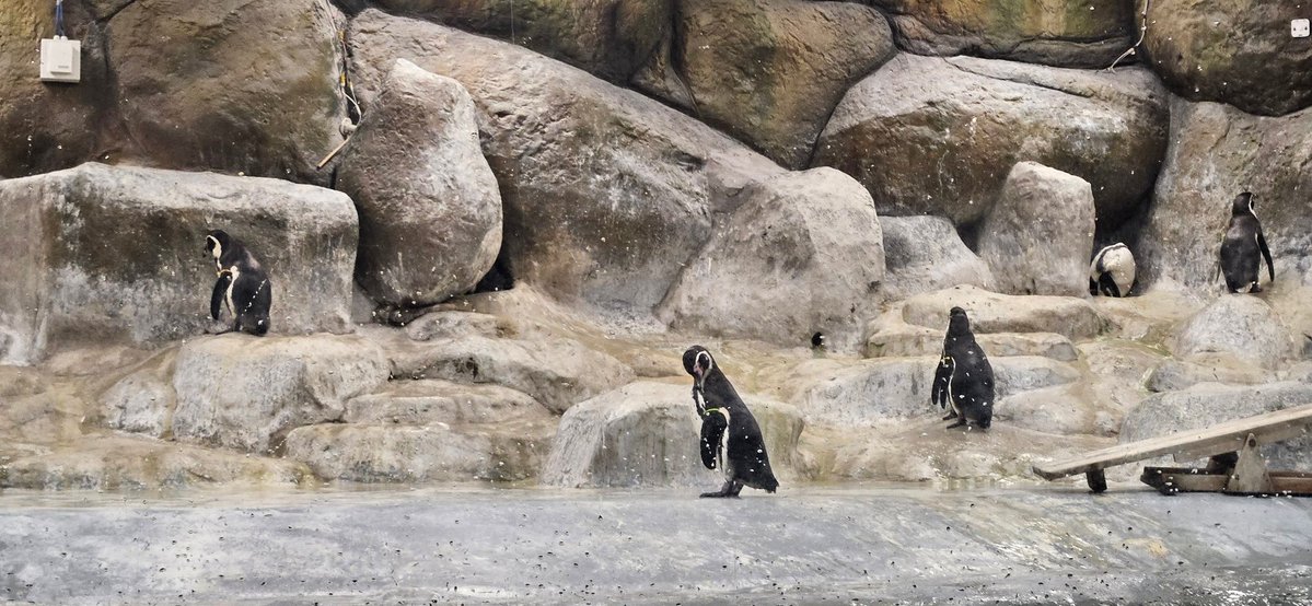 Narottam choudhary tweet media