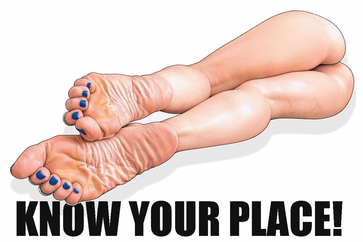 Archeslover tweet media