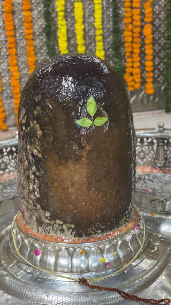 Prashant tweet media