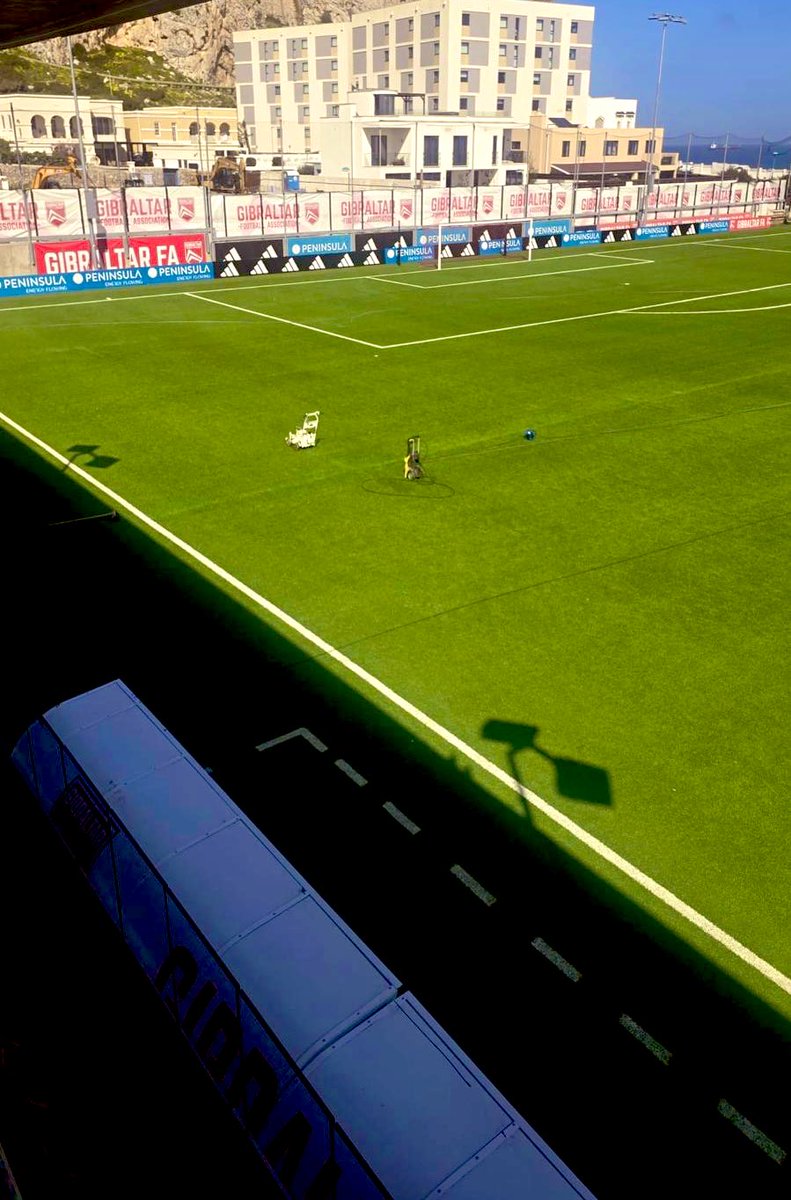 Keith Azopardi tweet media