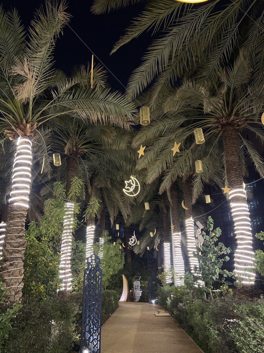 يارا tweet media