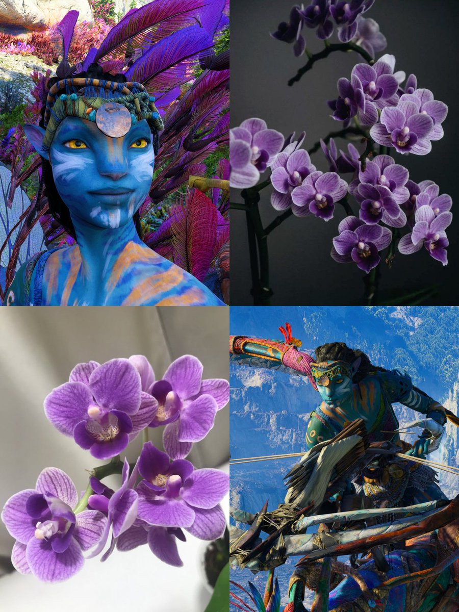 mrs o'hara 𓆸🐍🐉🤍 tweet media