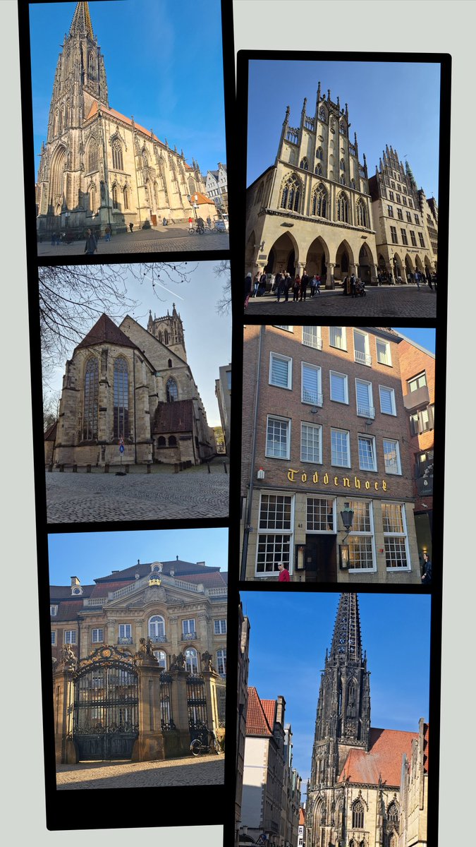 Tilda und die PlüschWG 🐭🦉🙋🏻‍♀️🏳️‍🌈 tweet media