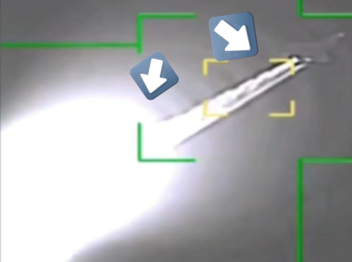 Egypt's Intel Observer tweet media