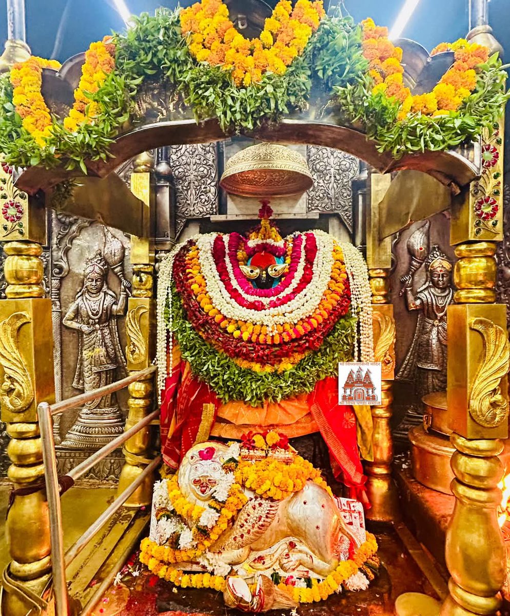 विजय शंकर यादव tweet media