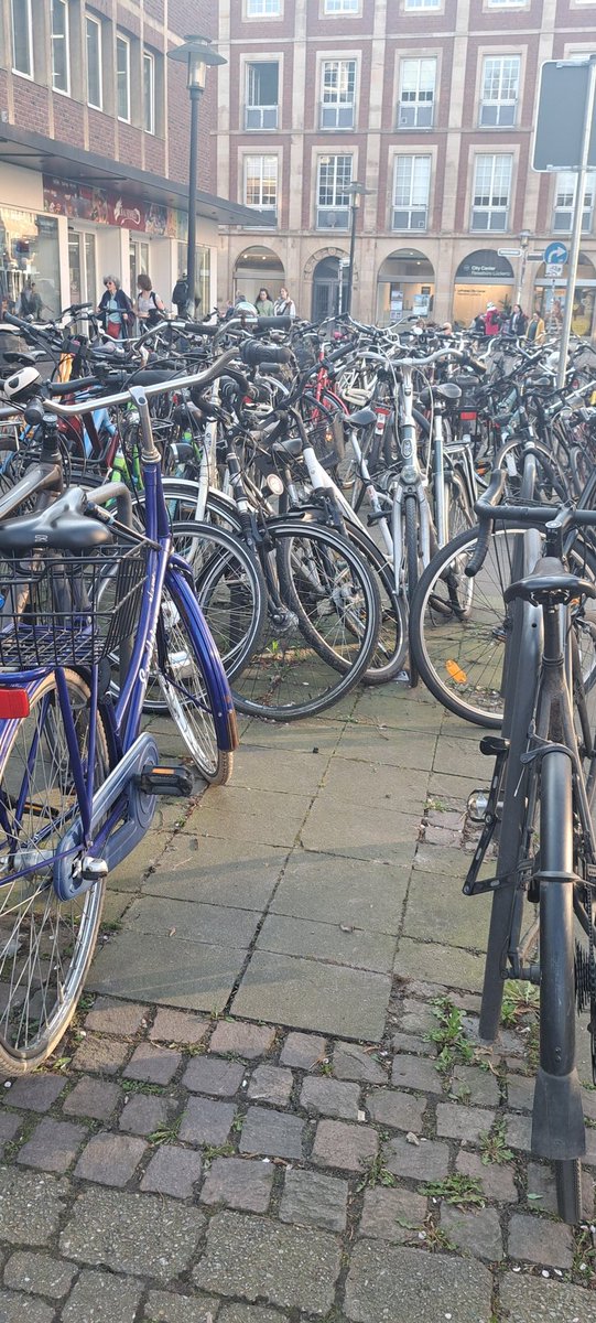 Tilda und die PlüschWG 🐭🦉🙋🏻‍♀️🏳️‍🌈 tweet media