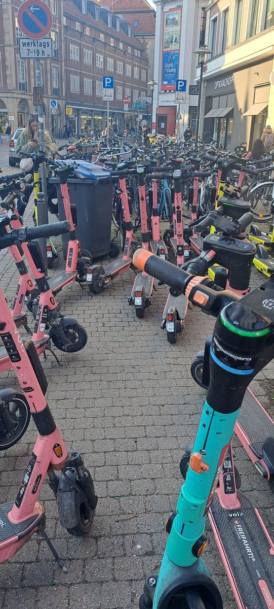 Tilda und die PlüschWG 🐭🦉🙋🏻‍♀️🏳️‍🌈 tweet media