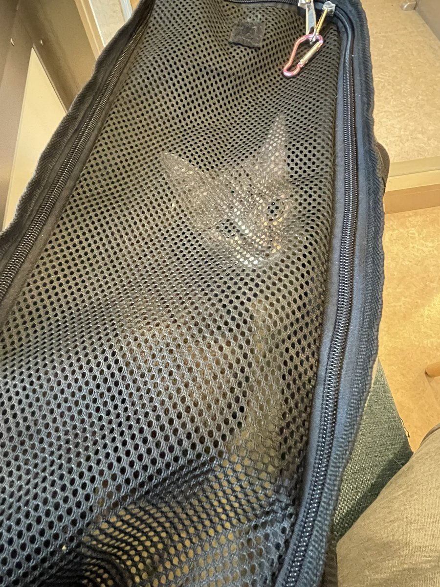 クスクス tweet media