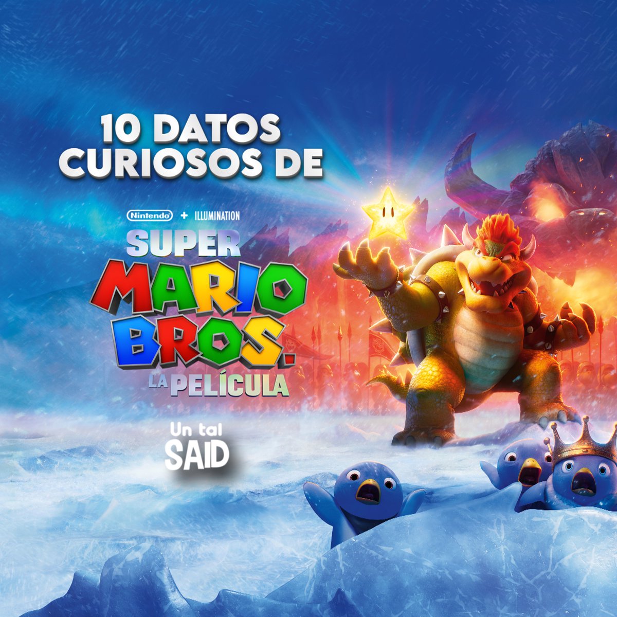 Un tal Said 🦆 tweet media