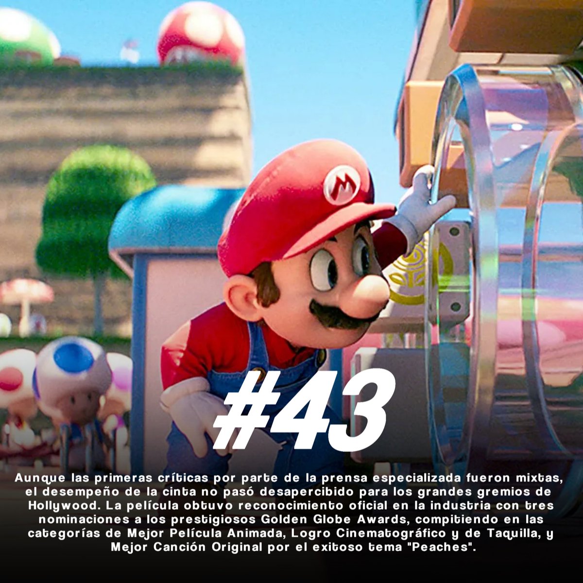 Un tal Said 🦆 tweet media