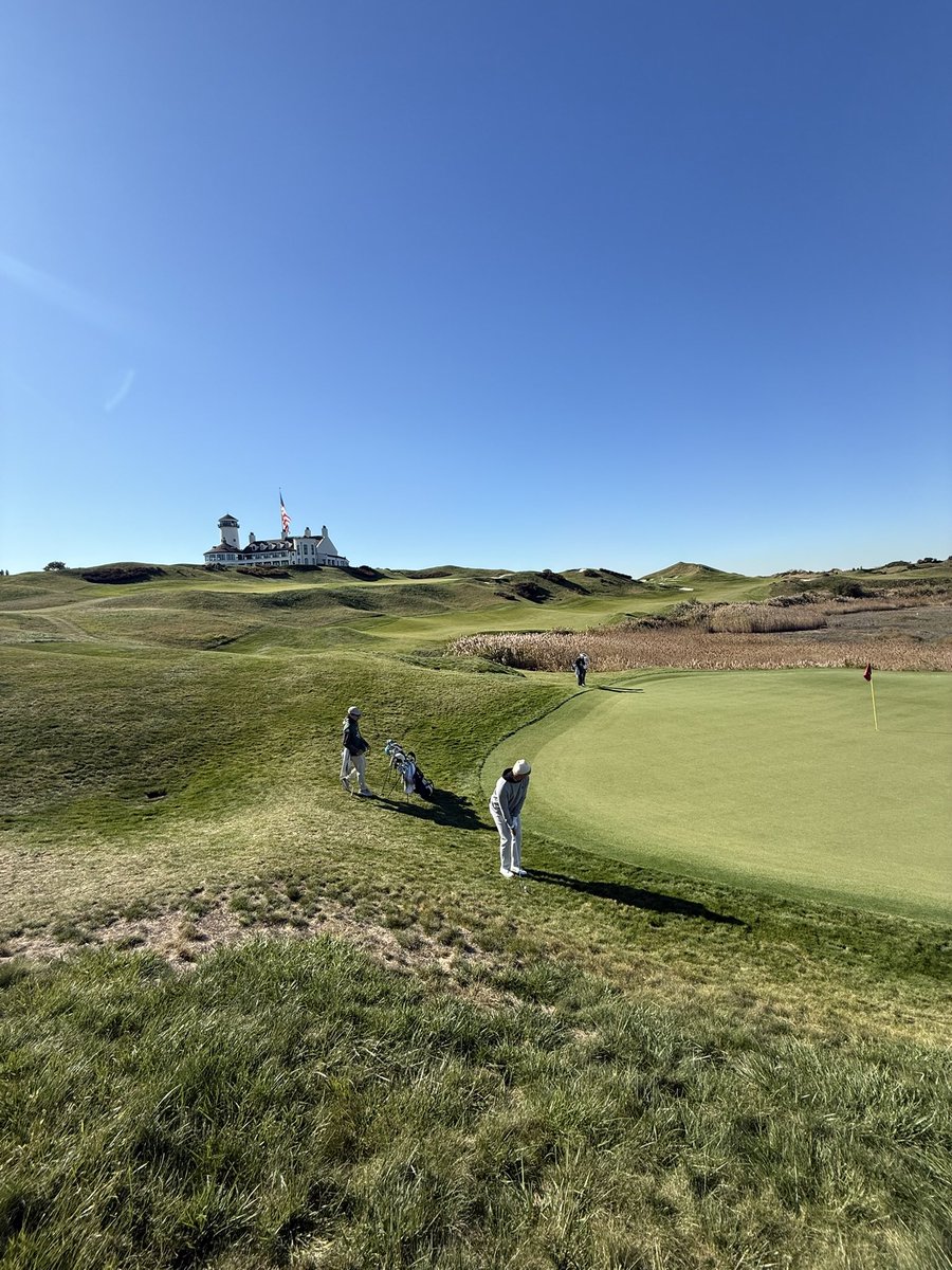 Sir Wetherby II tweet media