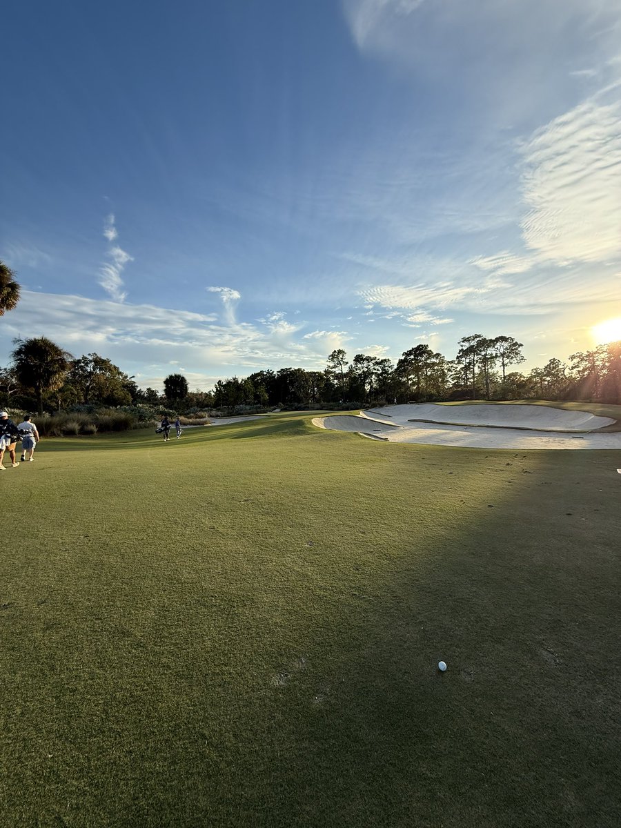 Sir Wetherby II tweet media