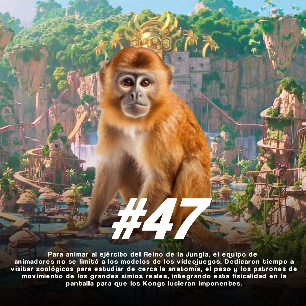 Un tal Said 🦆 tweet media