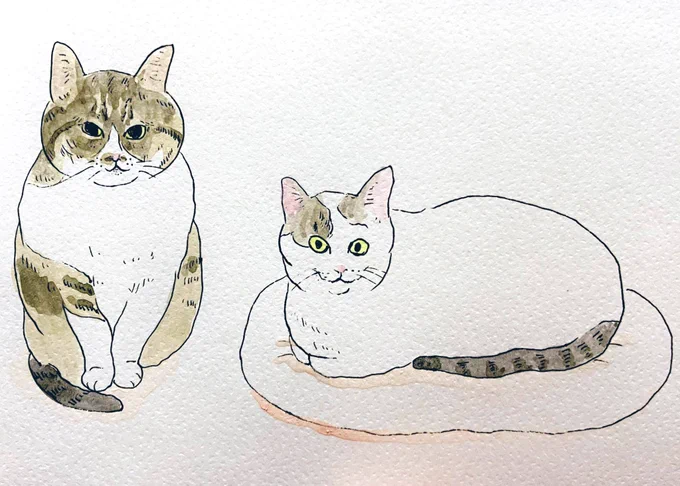 よその家の猫を描く