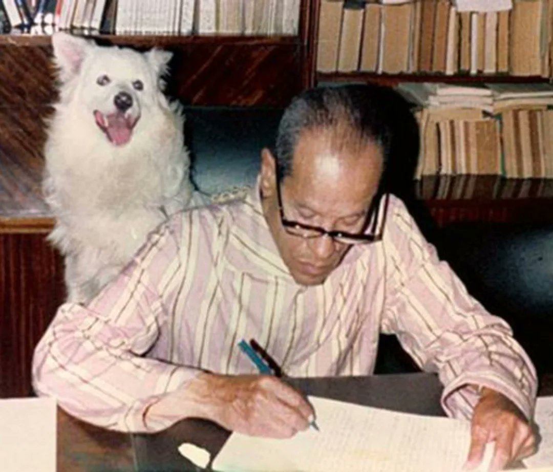 MENA Visuals tweet media