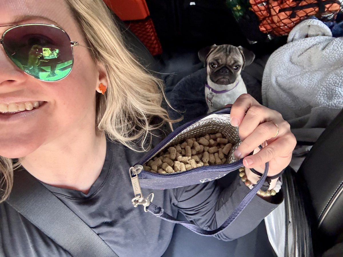 winespring 🚀✨ tweet media