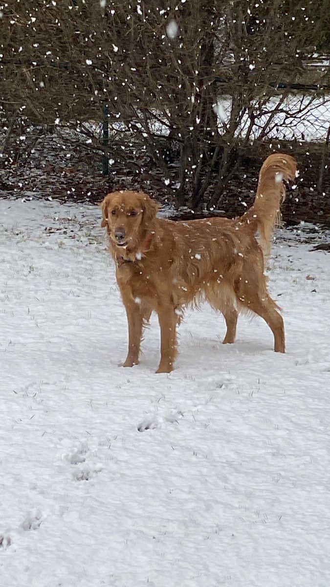 CatchATCHcards tweet media