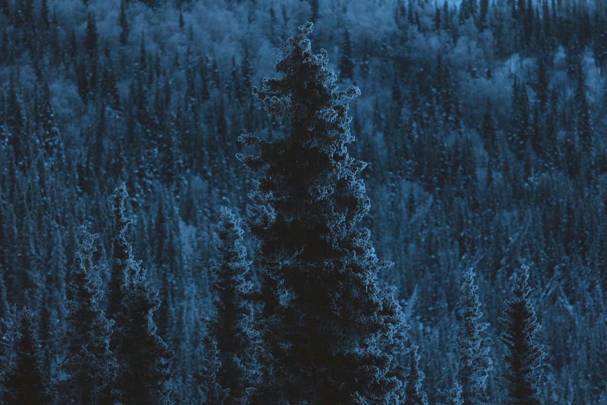 𝘄𝗮𝗻𝗱𝗲𝗿𝘁𝗿𝗮𝘃𝗲𝗹𝘀 tweet media