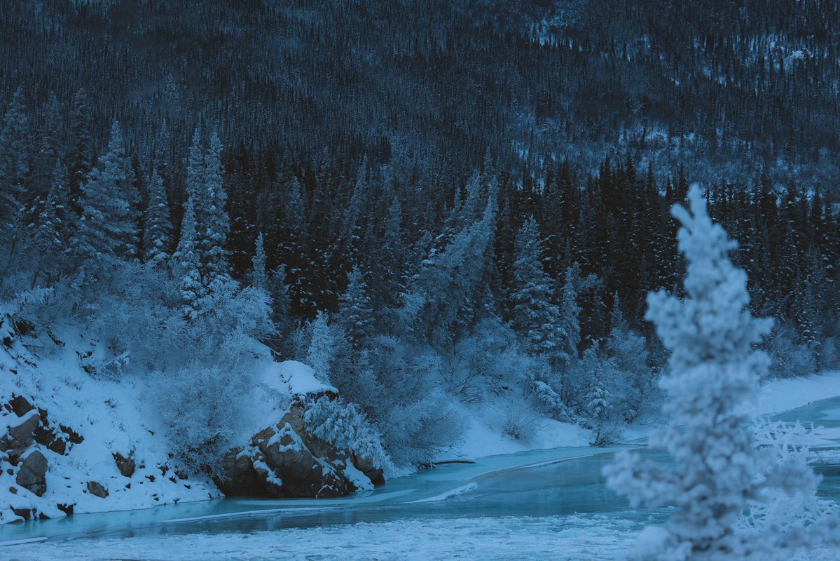 𝘄𝗮𝗻𝗱𝗲𝗿𝘁𝗿𝗮𝘃𝗲𝗹𝘀 tweet media