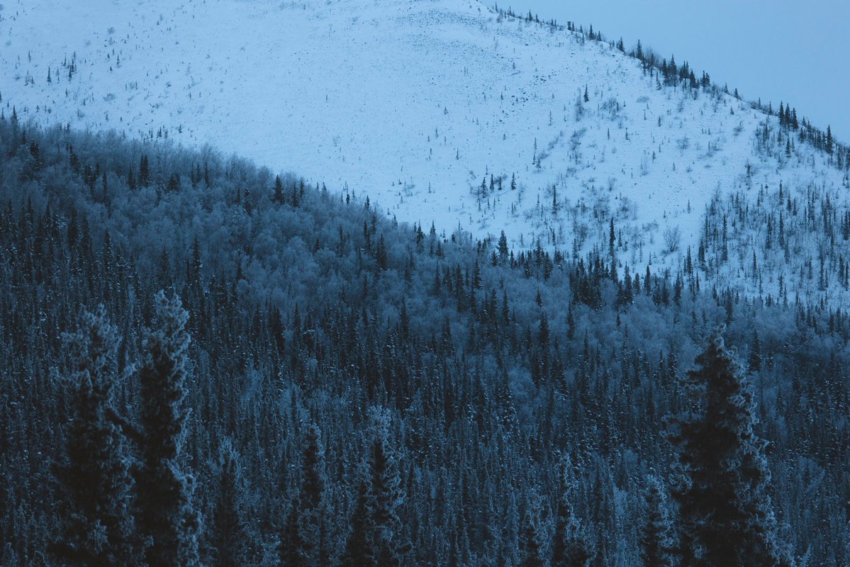 𝘄𝗮𝗻𝗱𝗲𝗿𝘁𝗿𝗮𝘃𝗲𝗹𝘀 tweet media