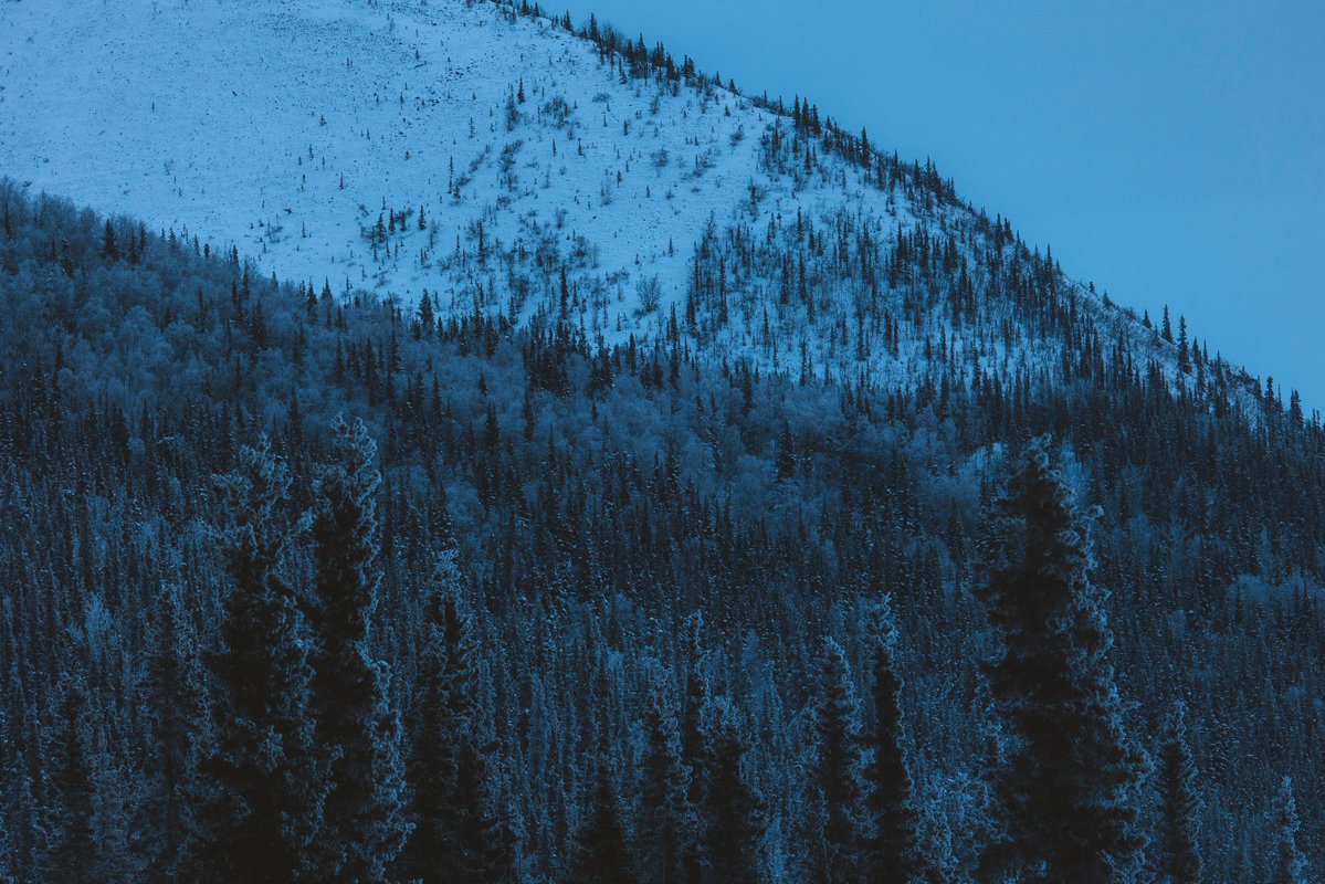 𝘄𝗮𝗻𝗱𝗲𝗿𝘁𝗿𝗮𝘃𝗲𝗹𝘀 tweet media