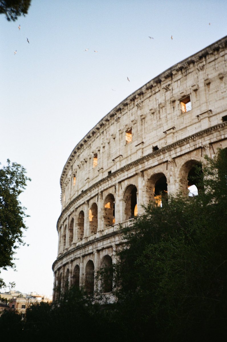 ☀️soleil en terre cuite🍋 tweet media