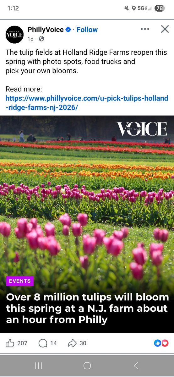 💯Lee Vivian💯 tweet media