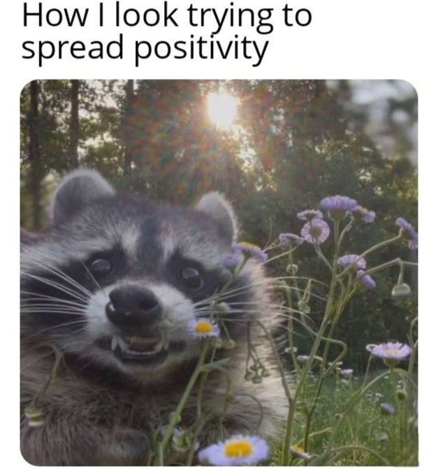 alexandriabrown tweet media