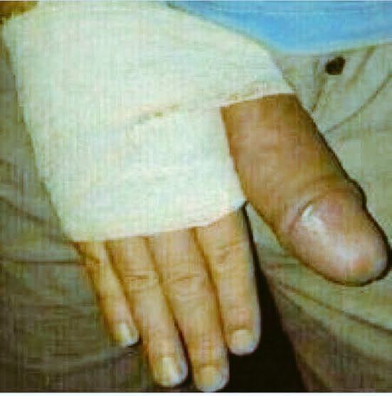 Plakplaat tweet media