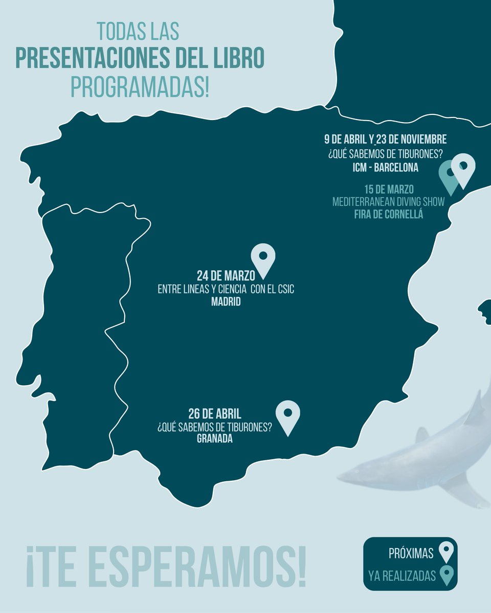 Catsharks tweet media